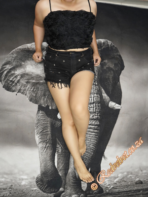 Escorts Johannesburg