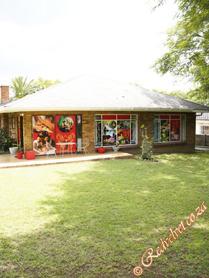 Beautiful Johannesburg Escorts