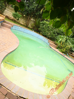 Escorts Johannesburg